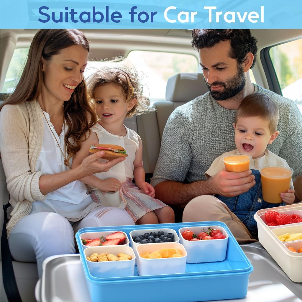 Snackle Box Container for Adults with 9 Compartment, Divided Serving Tray Snack Box Containers with Lid and Handle, Charcuterie Boxes Portable Snack Platter for Fruit Veggie Party Travel, White