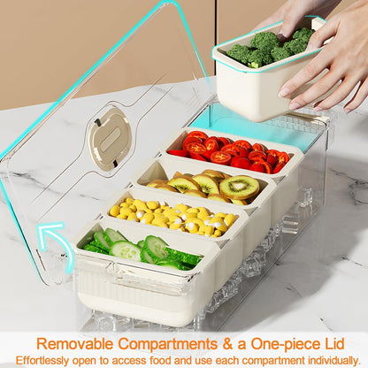 SVNNELP Ice Chilled Condiment Caddy Containers Server with Lid,Serving Fruit Tray Platter with 5 Removable Compartments,Garnish Tray for Party Supplies & Bar Accessories for Taco,Salad