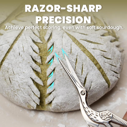 Bread Lame, 304 Stainless Steel Sourdough Scoring Tool, 10 Blades
