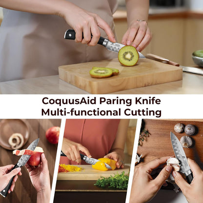 CoquusAid 5 inch Kitchen Utility Knife, Serrated Blade Tomato Knife