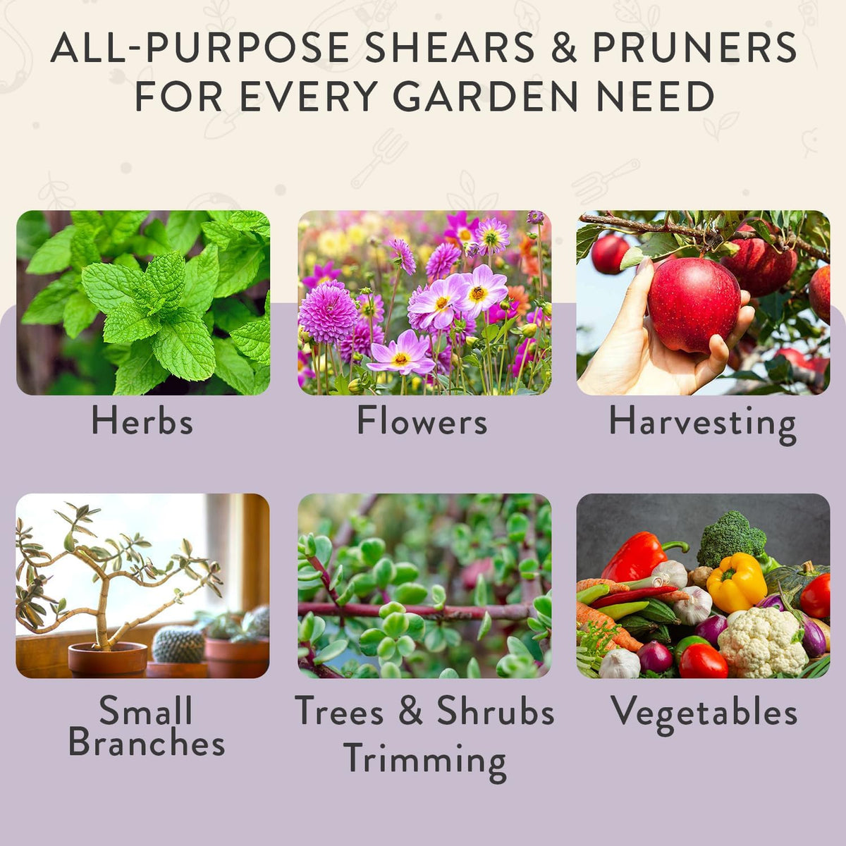 Modern Sprout Hand Pruners+Shears Set w/Blister - Gardening Tools - Sage