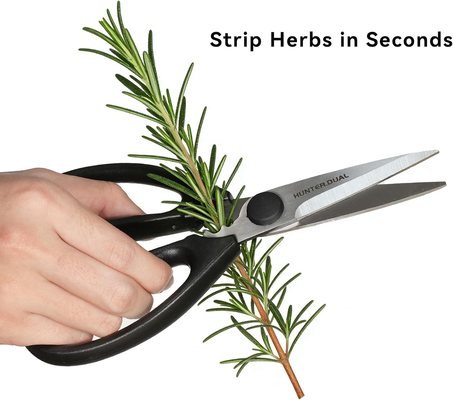 Kitchen Scissors for Food, HUNTER.DUAL Heavy Duty Come Apart Poultry Shears for Cooking, All Purpose for Cutting Chicken, Meat, Fish & Vegetables (Auqa, 8.35 Inch)