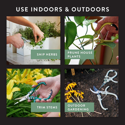 Modern Sprout Pruning Shears - Garden Snips - Herb Scissors - Sage 1-Pack