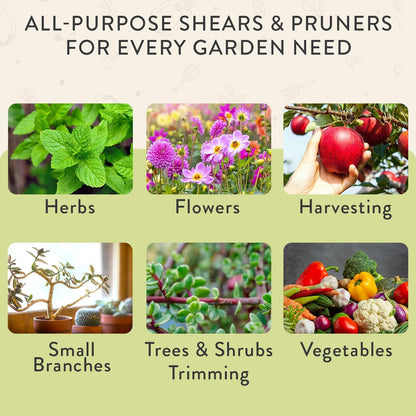 Modern Sprout Hand Pruners+Shears Set w/Blister - Gardening Tools - Sage
