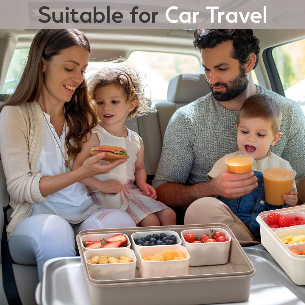 Snackle Box Container for Adults with 9 Compartment, Divided Serving Tray Snack Box Containers with Lid and Handle, Charcuterie Boxes Portable Snack Platter for Fruit Veggie Party Travel, White