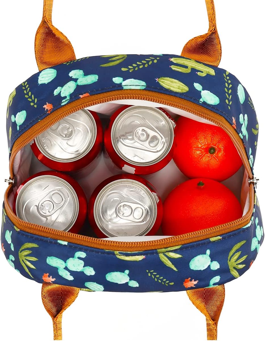 FlowFly Insulated Lunch Cooler Bag - Tote Bag Organizer for Women/Men, Black - Colors B