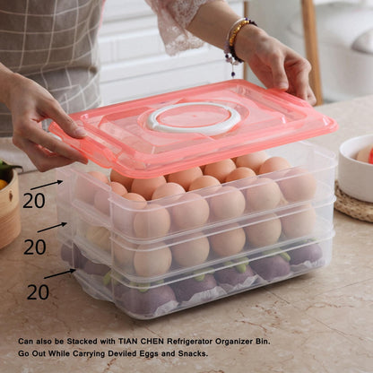 Deviled Egg Tray with Lid, 2-Layer, Stackable Egg Carrier Holder for Refrigerator, Camping Food Storage Container with Handle, Large, 40 eggs(transparent)