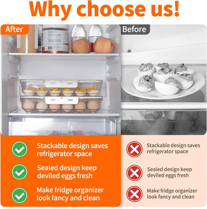 MesRosa 2 Pack Deviled Egg Containers with Lid and Handle, Durable Clear Plastic Deviled Egg Carrier Storage 48 Eggs, Stackable Egg Holder for Fridge, Portable Tray Platter for Party & Picnics-White