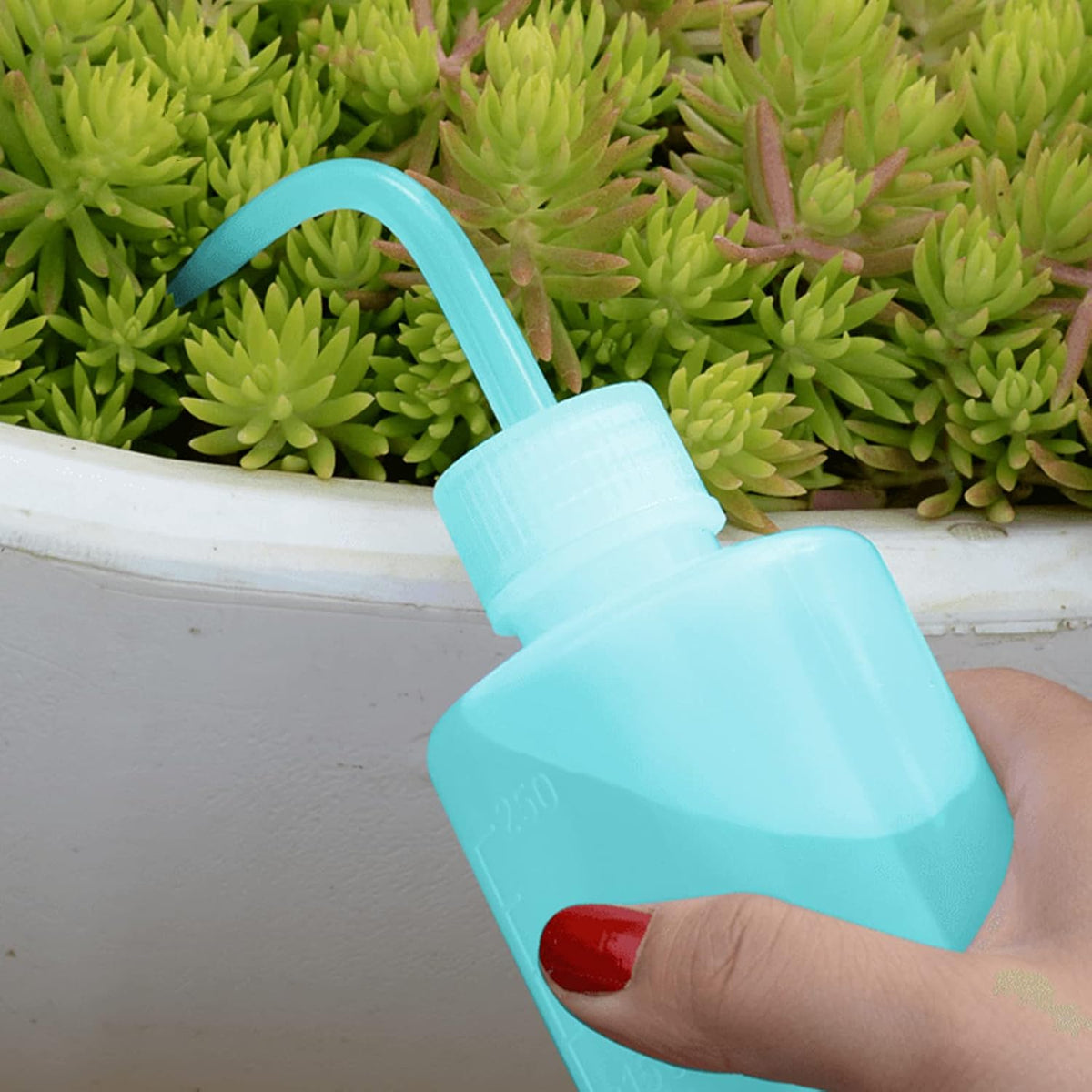 Wash Bottle 2pcs 250ml/8oz Safety Watering Tools, Economy Plastic Squeeze Washing Cleaning With Narrow Mouth Scale Labels for Medical Succulent Irrigation Plant (Black)