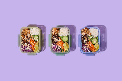Ello Snap & Nest 10-Piece 4.5 Cup Plastic Meal Prep Set, Reusable Food Containers for Healthy Eating, Freezer, Dishwasher Safe, Berry Fields