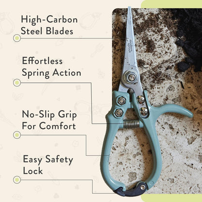 Modern Sprout Pruning Shears - Garden Snips - Herb Scissors - Sage 1-Pack