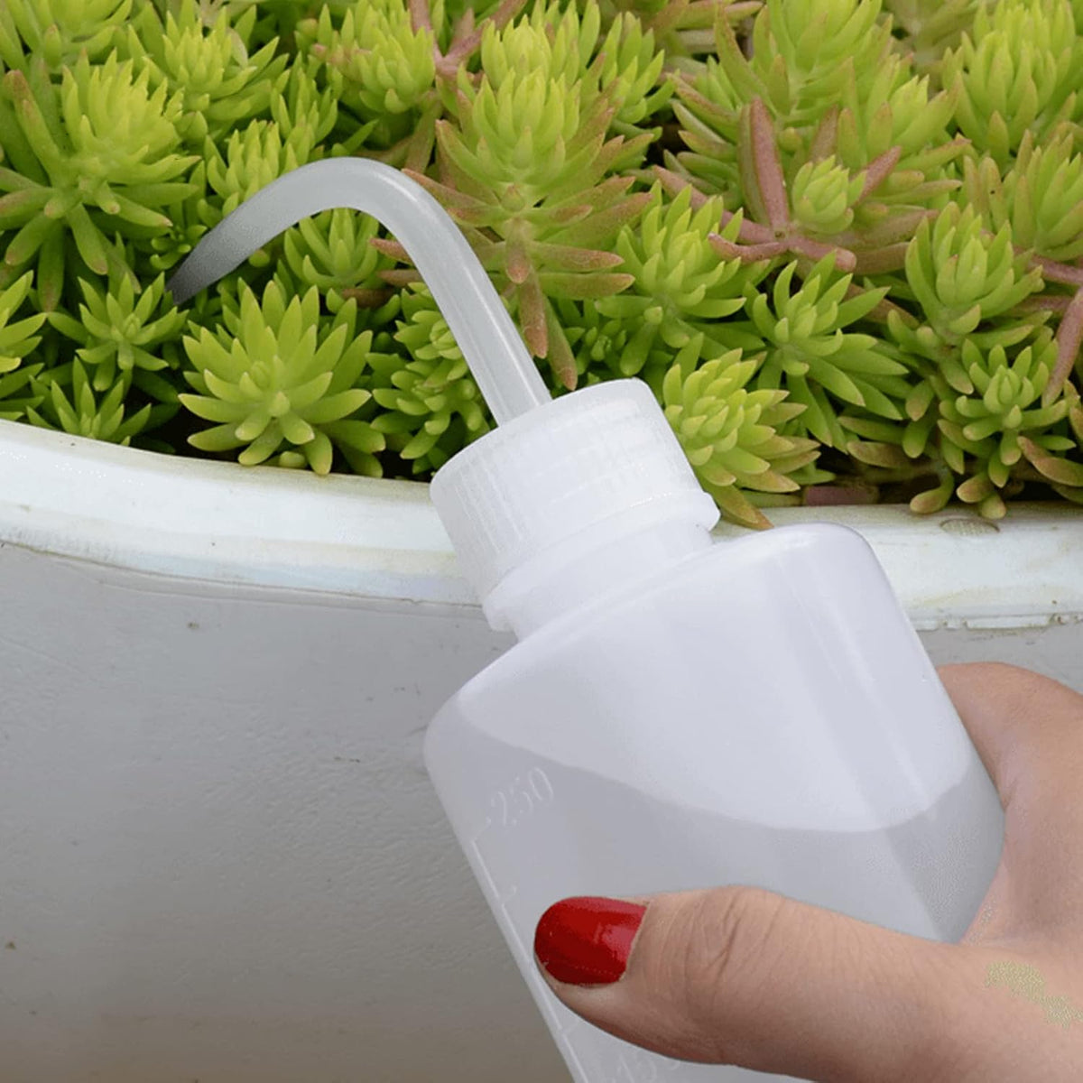Wash Bottle 2pcs 250ml/8oz Safety Watering Tools, Economy Plastic Squeeze Washing Cleaning With Narrow Mouth Scale Labels for Medical Succulent Irrigation Plant (Black)