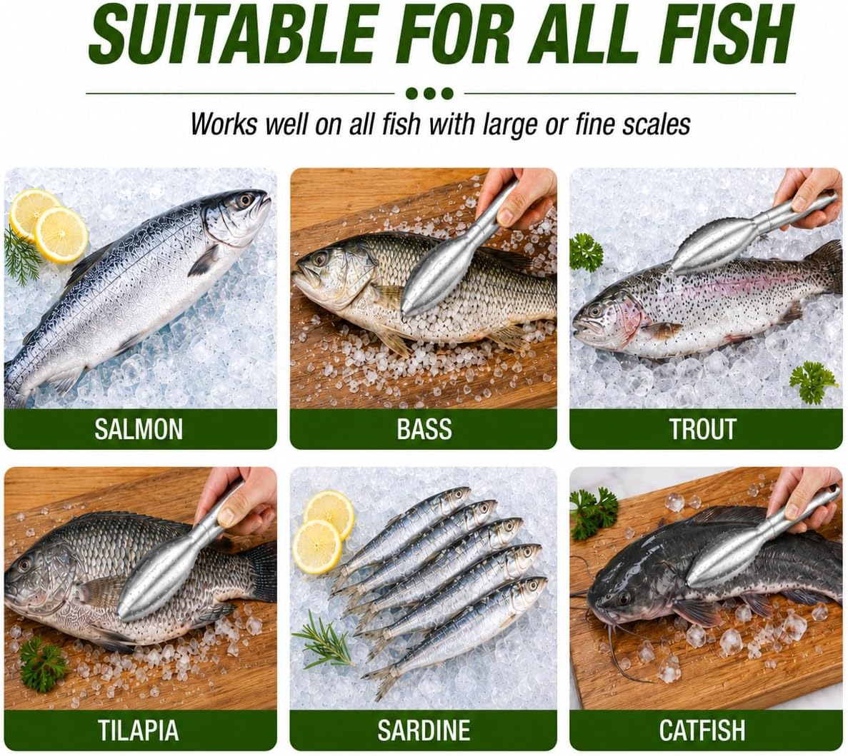 2-Pack Large Fish Scraper, 304 Stainless Steel Fish Scaler, Non-Slip Handle