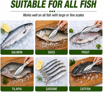 2-Pack Large Fish Scraper, 304 Stainless Steel Fish Scaler, Non-Slip Handle