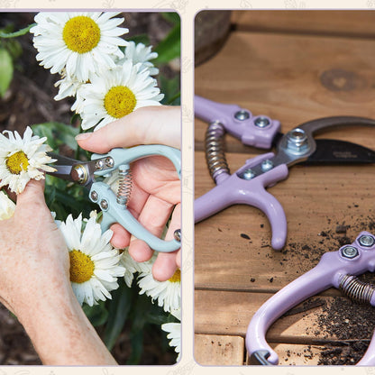 Modern Sprout Hand Pruners+Shears Set w/Blister - Gardening Tools - Sage