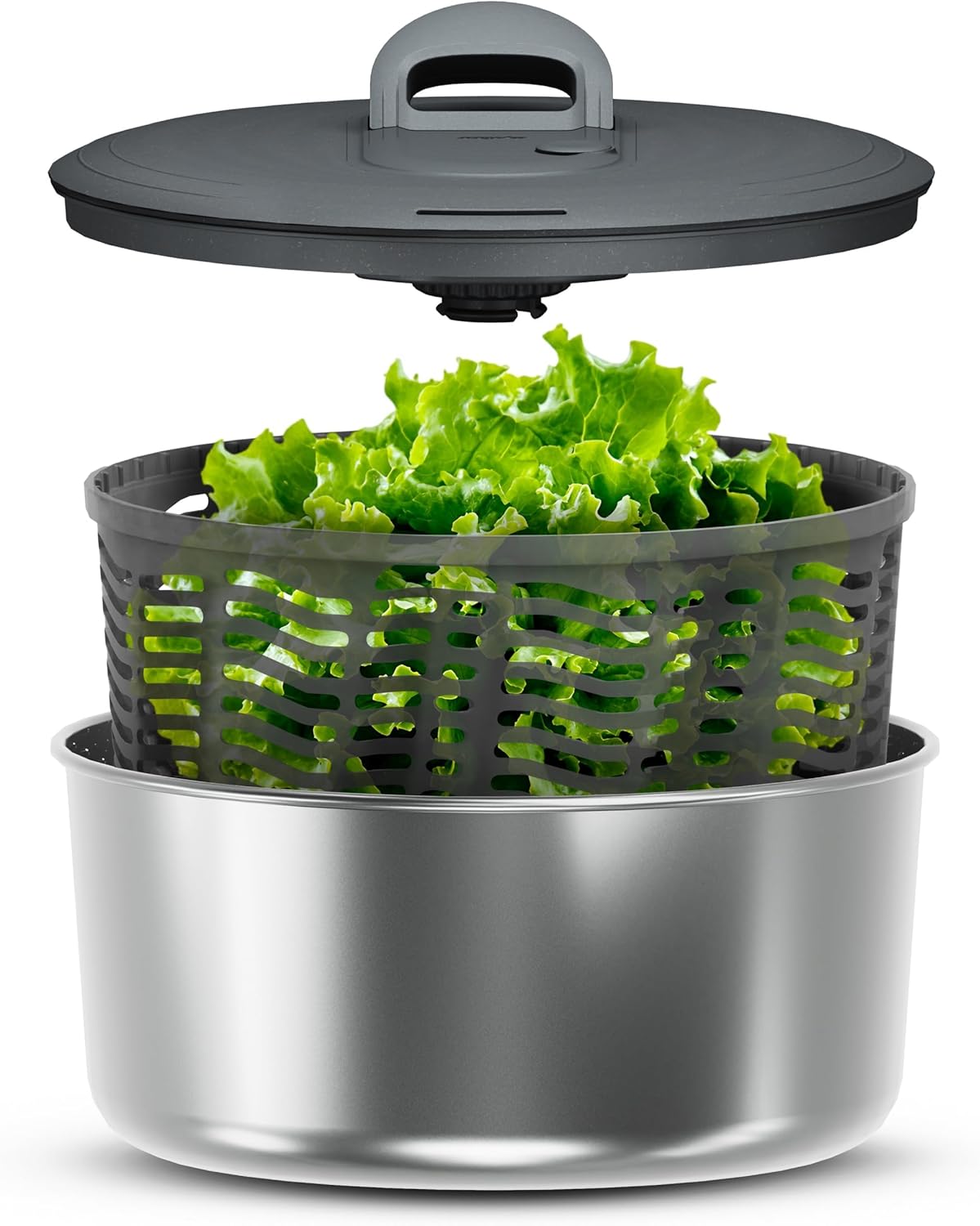 Zyliss Swift Dry Salad Spinner - Fruit Cleaner & Lettuce Spinner with Push Pump - Non-Slip Bowl - Dishwasher Safe - Large