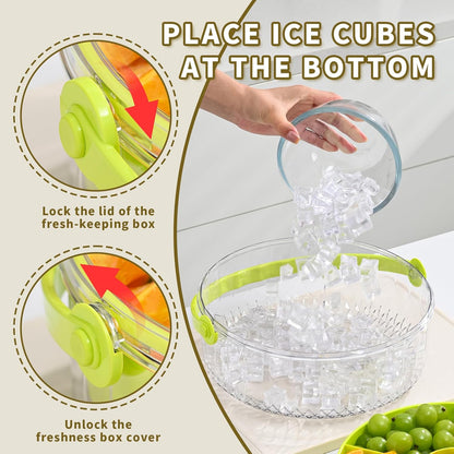 Fruit Ice Divided Serving Tray with Lid and handle,Chilled Veggie Tray,Shrimp Cocktail Serving Dish,Ideal Cold Chilled Serving Platter for Parties,Vegetables,Appetizer,Salads,Picnic,Appetizers,Travel