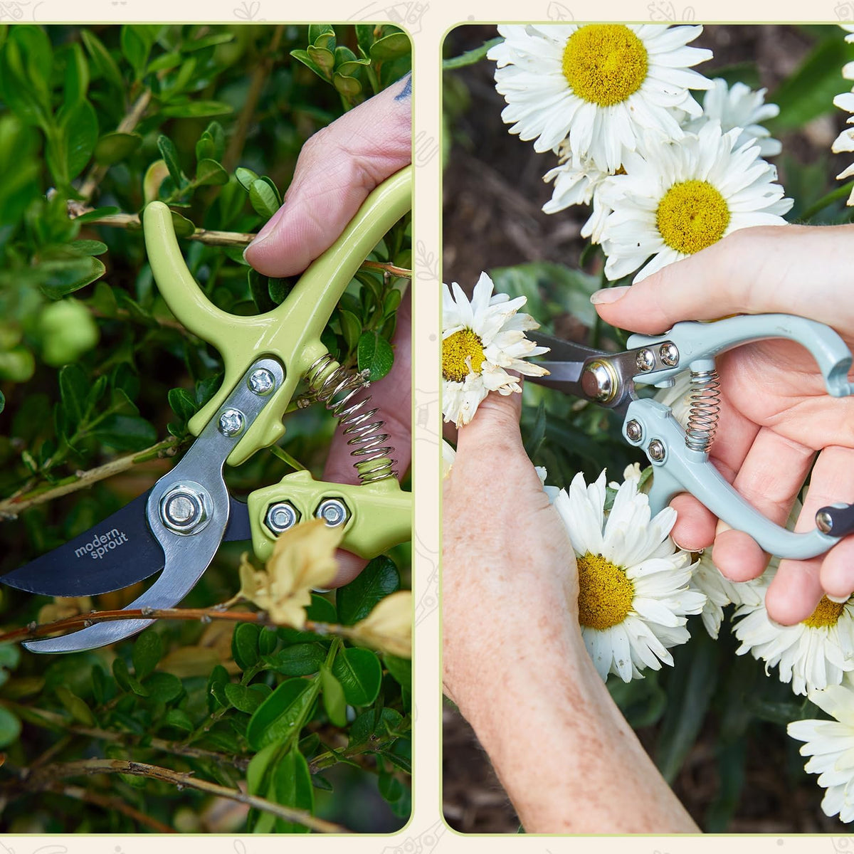 Modern Sprout Hand Pruners+Shears Set w/Blister - Gardening Tools - Sage