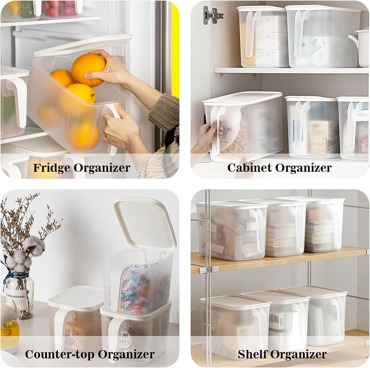 2 Pack Plastic Divided Veggie Storage Containers with Lids and Handles for Fridge Storage Organizer Boxes for Refrigerator Produce Beans Fruits Organzation