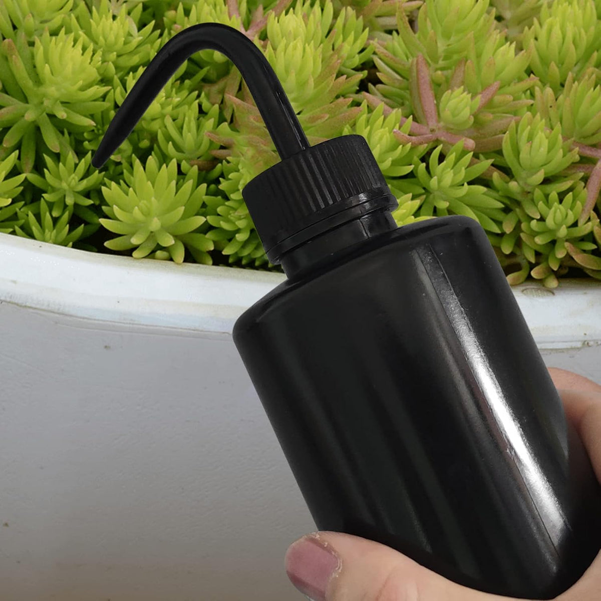 Wash Bottle 2pcs 250ml/8oz Safety Watering Tools, Economy Plastic Squeeze Washing Cleaning With Narrow Mouth Scale Labels for Medical Succulent Irrigation Plant (Black)