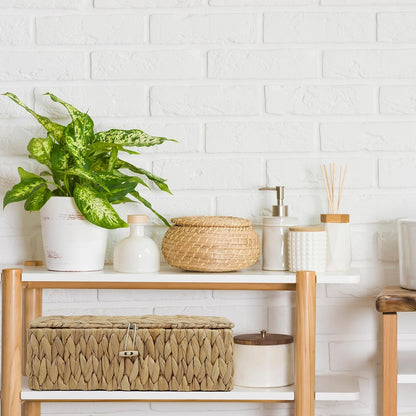 Water Hyacinth Storage Basket with Lid, Rectangular Tank Woven Wicker Baskets with Sections, Decorative Box for Snack Toys Bathroom (Water Hyacinth)