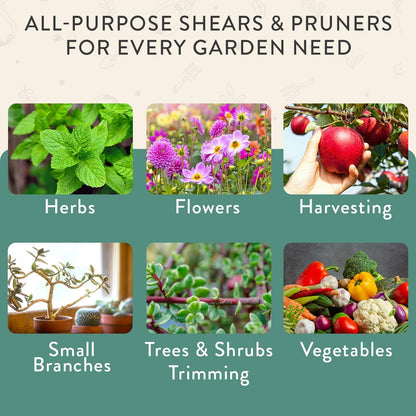 Modern Sprout Hand Pruners+Shears Set w/Blister - Gardening Tools - Sage