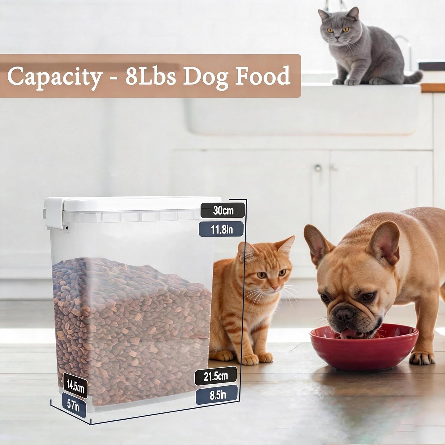 2 Pack Small Cat Food Storage Container with Wide-Mouth Pour Spout - 2Lbs/2.1QT Dog Pet Food Container for Cat Dog Food, Bird Seed, Chicken - Versatile Dry Food Bin Dispenser for Rice, Flour, Cereal