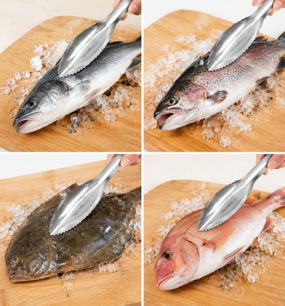 2-Pack Large Fish Scraper, 304 Stainless Steel Fish Scaler, Non-Slip Handle