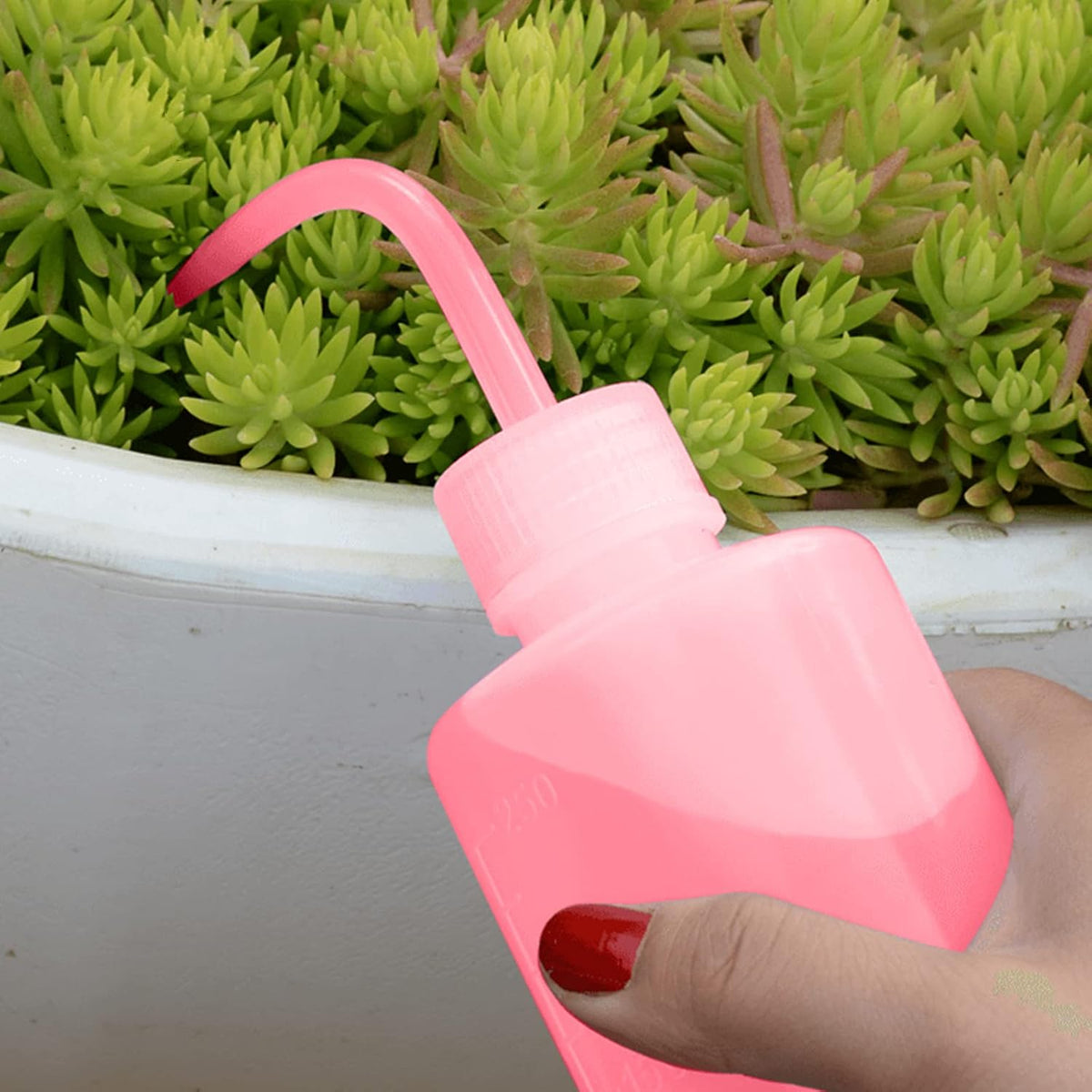 Wash Bottle 2pcs 250ml/8oz Safety Watering Tools, Economy Plastic Squeeze Washing Cleaning With Narrow Mouth Scale Labels for Medical Succulent Irrigation Plant (Black)