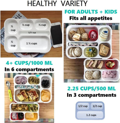 kinsho Bento Lunch-Box Set for Kids includes Snack Container | 6 and 3 Compartment Boxes Leakproof School Bentos, Meal Portion Control Containers, Boys Girls Adults, Navy Blue Large + MINI 2 Pack Set