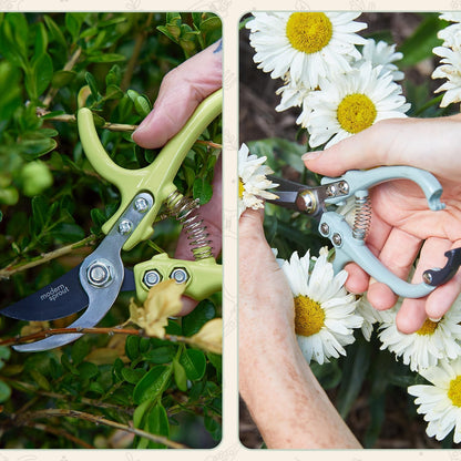 Modern Sprout Hand Pruners+Shears Set w/Blister - Gardening Tools - Sage
