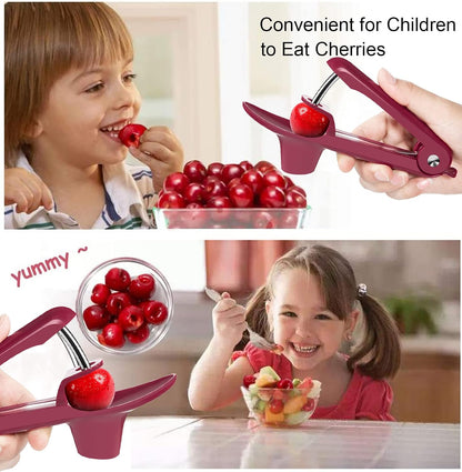 Cherry Pitter Tool,Cherry Pitter Cherry Stone Remover Tool for Making Cherry Jam Cherries Corer Pitter Tool，Cherry Pitter Olive Pitter with Space-Saving Lock Design, Black