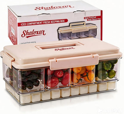 Chilled Divided Serving Tray &Snacklebox Container with Ice Pack, Portable Party Platter with Lid, Chilled Veggie Tray,Shrimp Cocktail Serving Dish, for Picnic,Road Trip,Beach