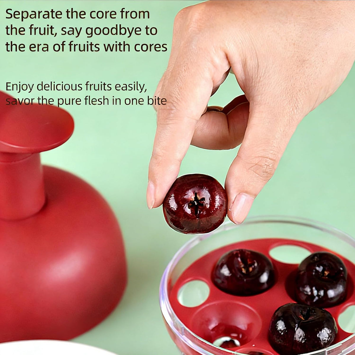 Cherry Pitter Tool, Push Type