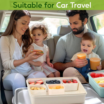 Snackle Box Container for Adults with 9 Compartment, Divided Serving Tray Snack Box Containers with Lid and Handle, Charcuterie Boxes Portable Snack Platter for Fruit Veggie Party Travel, White