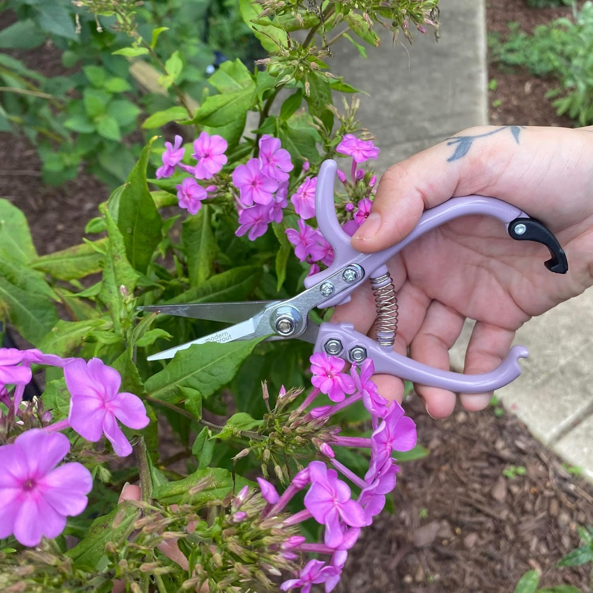 Modern Sprout Pruning Shears - Garden Snips - Herb Scissors - Sage 1-Pack
