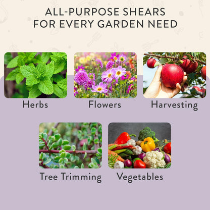 Modern Sprout Pruning Shears - Garden Snips - Herb Scissors - Sage 1-Pack