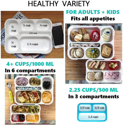 kinsho Bento Lunch-Box Set for Kids includes Snack Container | 6 and 3 Compartment Boxes Leakproof School Bentos, Meal Portion Control Containers, Boys Girls Adults, Navy Blue Large + MINI 2 Pack Set