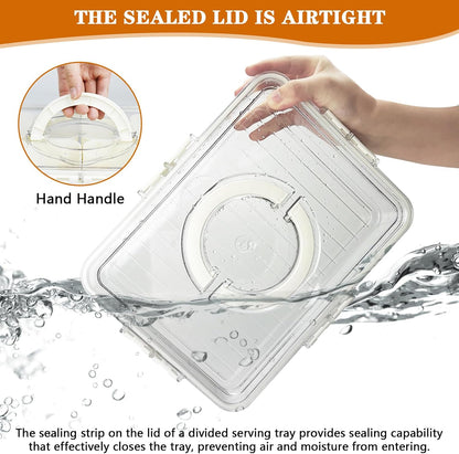 Artcome Sealed Divided Serving Tray with Handle, 8 Compartments, & Carry Bag - Ideal for Organizing and Carrying Snacks and Appetizers - Perfect for Outdoor Dining, Picnics, BBQs, Gatherings & Leisure