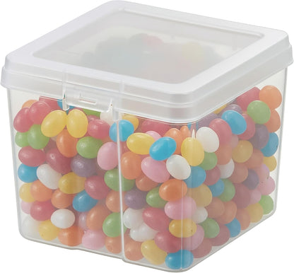 IRIS USA Vertical Storage Bins with Lids |Made in USA| Flip Top Containers for Organizing Pantry, Office, Craft, and Study Supplies - Small (10-Pack)