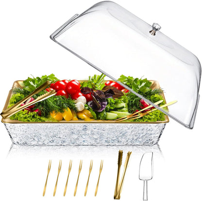 Baderke 1 Set 16" x 9" Chilled Serving Tray for Parties with Compartments and Lid Charcuterie Serving Board Ice Rectangle Chilled Party Platter for Seafood Vegetable Fruit Shrimp Cocktail (Silver)