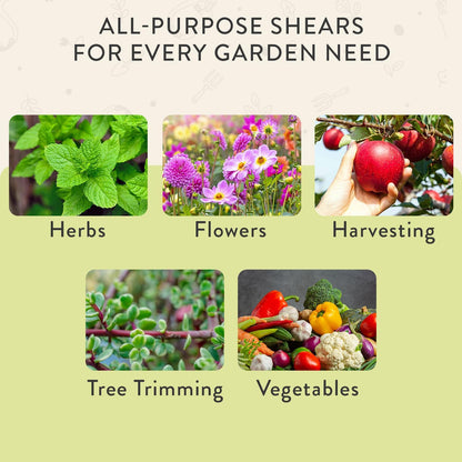 Modern Sprout Pruning Shears - Garden Snips - Herb Scissors - Sage 1-Pack