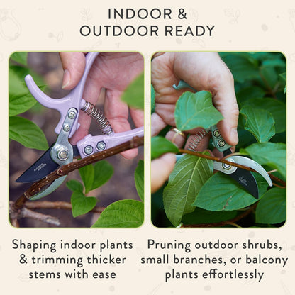 Modern Sprout Bypass Hand Pruners - Scissors - Gardening Tools - Sage