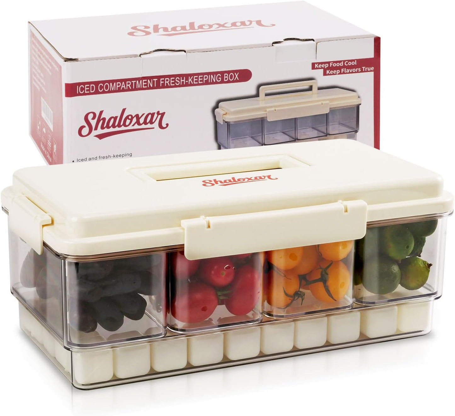 Chilled Divided Serving Tray &Snacklebox Container with Ice Pack, Portable Party Platter with Lid, Chilled Veggie Tray,Shrimp Cocktail Serving Dish, for Picnic,Road Trip,Beach