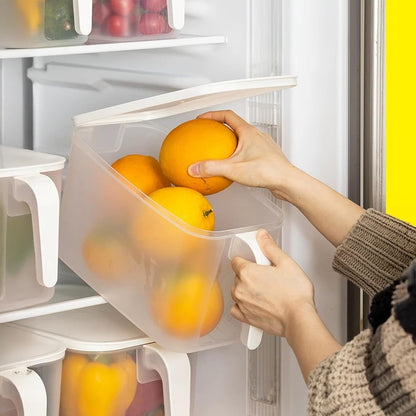 2 Pack Plastic Divided Veggie Storage Containers with Lids and Handles for Fridge Storage Organizer Boxes for Refrigerator Produce Beans Fruits Organzation