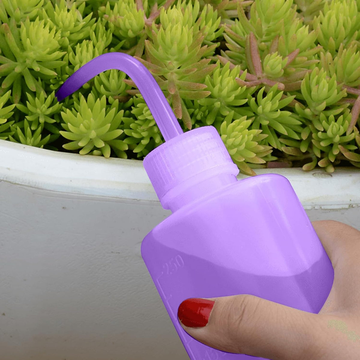 Wash Bottle 2pcs 250ml/8oz Safety Watering Tools, Economy Plastic Squeeze Washing Cleaning With Narrow Mouth Scale Labels for Medical Succulent Irrigation Plant (Black)