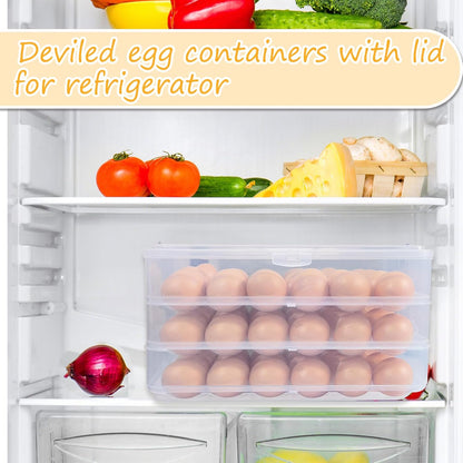 2-Layer Deviled Egg Carrier with Lid,Deviled Egg Trays with Handle,Stack Portable Stackable Trays,Clear Devil Egg Cotainer 48 eggs Holders, for Thanksgiving Day, Easter, Holiday,Parties and Kitchen