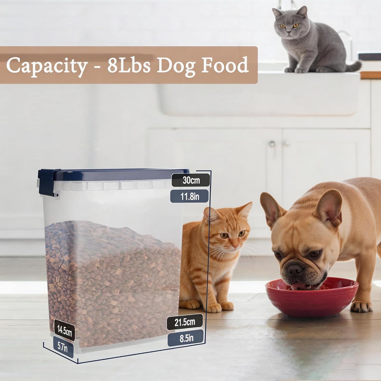2 Pack Small Cat Food Storage Container with Wide-Mouth Pour Spout - 2Lbs/2.1QT Dog Pet Food Container for Cat Dog Food, Bird Seed, Chicken - Versatile Dry Food Bin Dispenser for Rice, Flour, Cereal