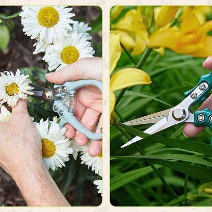 Modern Sprout Pruning Shears - Garden Snips - Herb Scissors - Sage 1-Pack