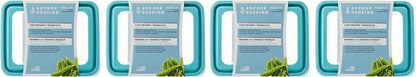 Anchor Hocking TrueSeal 10-piece Glass Food Storage Containers with Airtight Lids, Mineral Blue